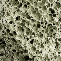 Clinoptilolite