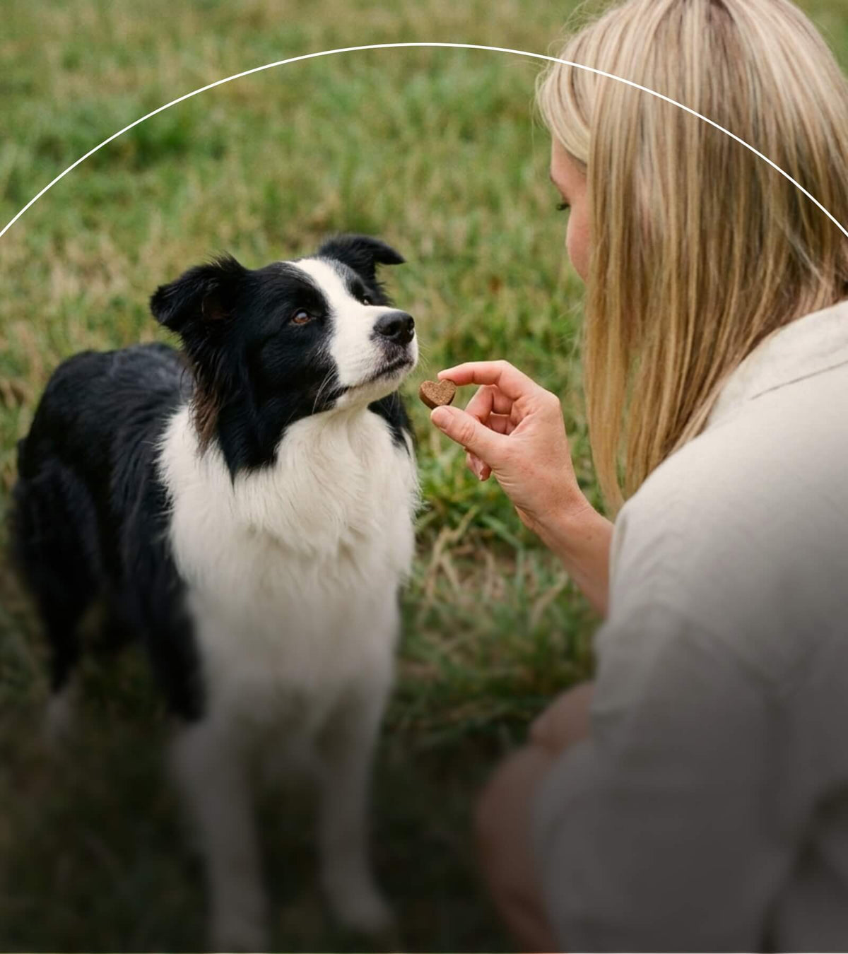 Dein Partner für gezielte Nahrungsergänzung bei Hunden